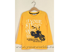 250�. ��������� ���: 98-110-116-122-128-134