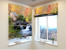 ����� � ��������.jpg