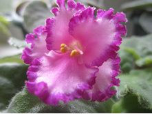 ����� 034.jpg