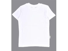 ������� ������� CAJ6605, 173+%.jpg