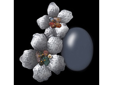 032888 ��������� 210.jpg