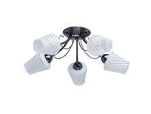 676011405 1900�.jpg