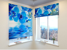 ������� �������.jpg