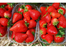 ��������� ����� 50���..jpeg