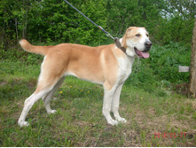 IMG 20160811 173740 18.jpg