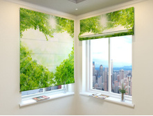 ����� ������.jpg