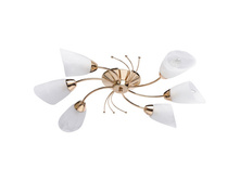 356018306 2200�.jpg