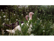 IMG 20160529 184607.jpg