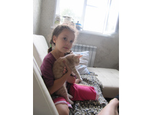 ������ 798.jpg