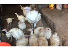 ����� � �������.jpg