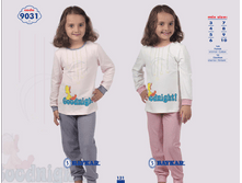 ������ 9031.png