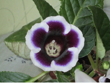 ����� 067.jpg