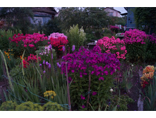 ����� ��� � �������� �����