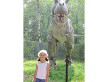 ������ 749.jpg