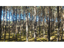 P 20160627 094103.jpg