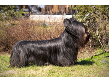 �������� �������� �� ����� ��