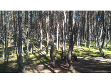 P 20160627 094413.jpg