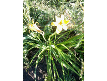 �������� ������ �������.jpg