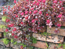 ������ ��������� �����. 70