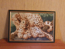 ����� �����