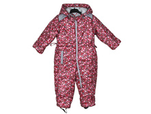 ���������� Kitten Mini  1824�