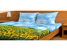 ��������� ����