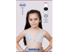 ������ 4350.png