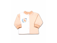 ���-31 ��.png