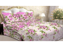 ������ �����