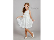 NBD11006_1290 ���.