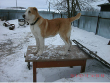 IMG 20160811 173925 47.jpg