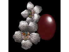 032886 ��������� 210.jpg