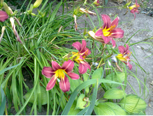 �������� ����� (1).jpg