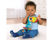 LC27564 ������� �����.jpg