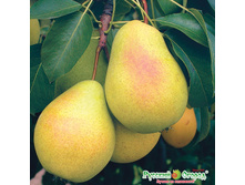 ����� ��������� 320���. 1-����� (������� 20��).jpeg