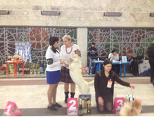 943907 1976512499240526 8201283389597463071 n.jpg