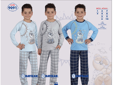 ������ 9091.png