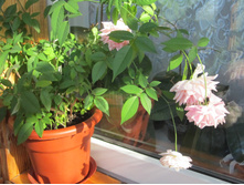 ���� 2014 235.jpg