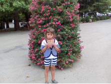 IMG 20160803 124047.jpg