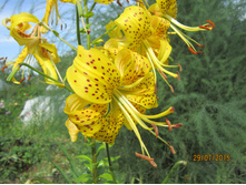 ����� ���������� 200�