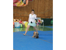 13330980 2059915870900188 8775434352621304061 n.jpg