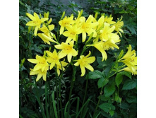 �������� �������. 130