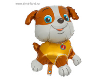 ��� ������ � ������� 12 ����. ����� � ������ �� ���.1303289 ���� 26 ��� �� 5 �� ������! ������!.jpg