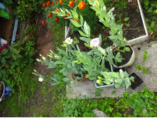 �������