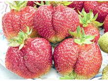 ��������� ���� ����� 50���..jpg