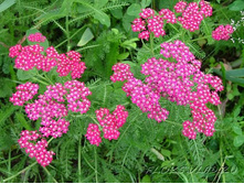 ������������� �������� �������� 90