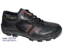 LN 137 7w.jpg