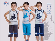 �������� 9079.png