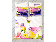 04854 1 �����.jpg