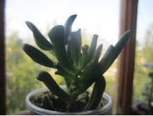 ������ 003.jpg